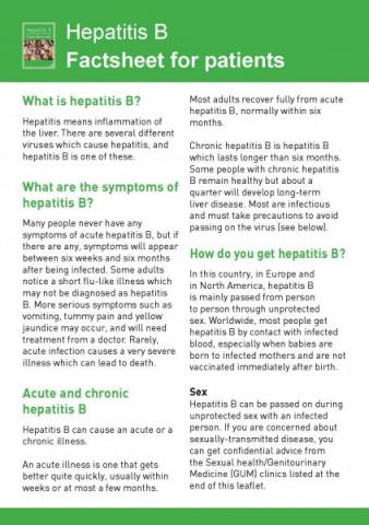 Hepatitis B - Factsheet For Patients (English And Translations) | HSC ...